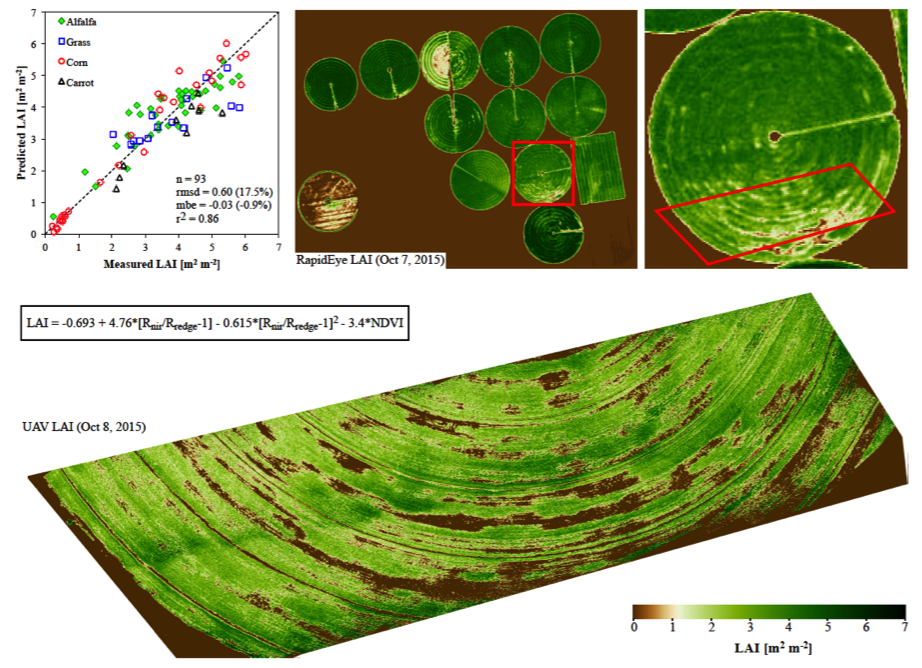 Vegetation